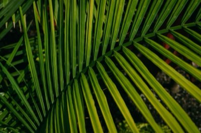 L'économie de Guam : une croissance robuste de 5,1% et sa forte