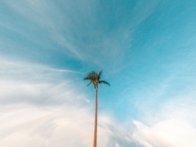 5,6% disoccupazione Guam: riflettore della dipendenza stagionale
