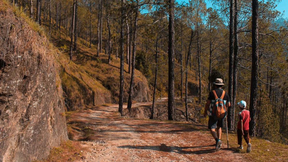 Family hiking trail in tropical forest