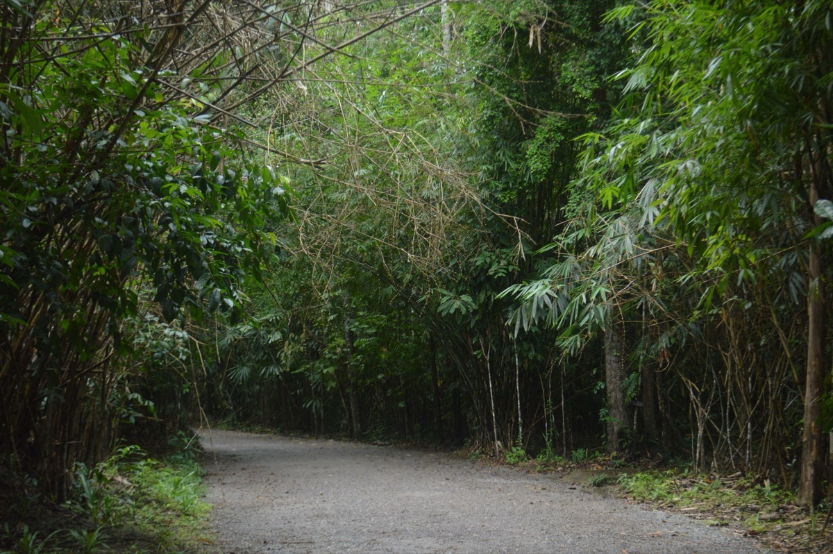 Familia caminando por sendero en Guam