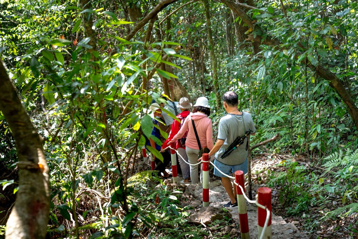 familie wandelt in tropisch bos