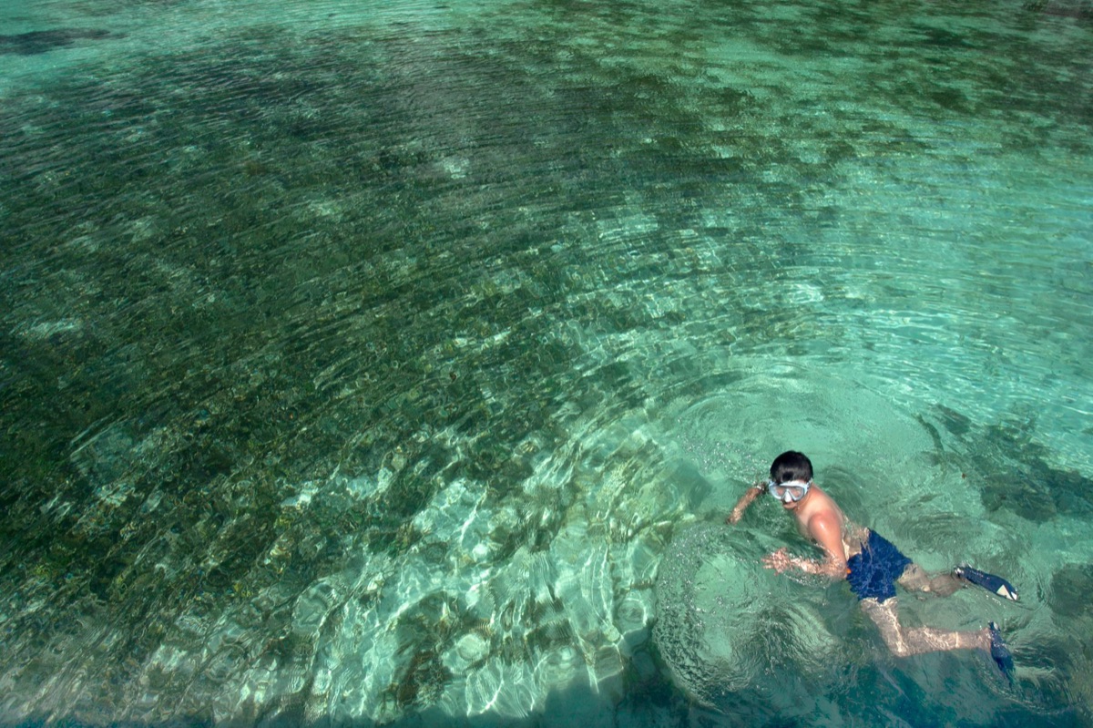 child in snorkel gear at coral reef