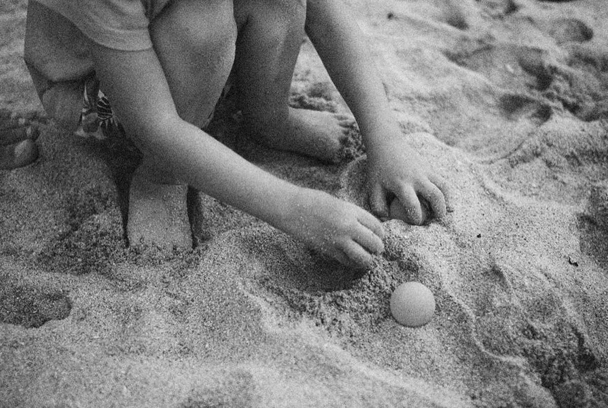 子供が海辺で遊ぶ
