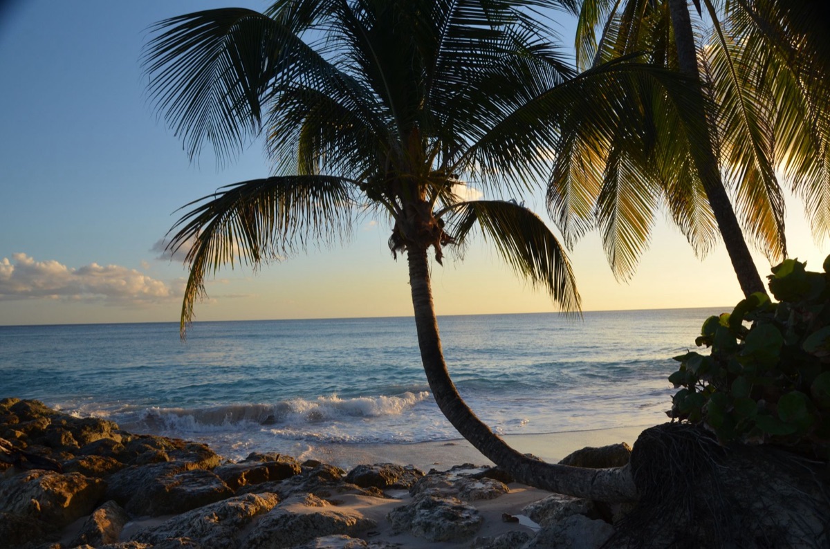 praia tropical com sol nascente