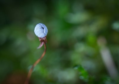 8 Fakten zu Guam: Vorbereitung für Ihre Inselerfahrung