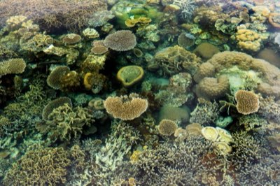 Guam : Snorkeling ou plage pour les aventures familiales réussies