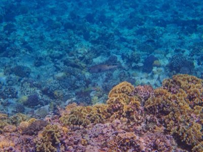 Guam Mare: Massima Sicurezza e Massima Avventura per i Bambini