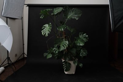 Perfecte keuze Guam: Rif of kustlijn voor jouw kind?