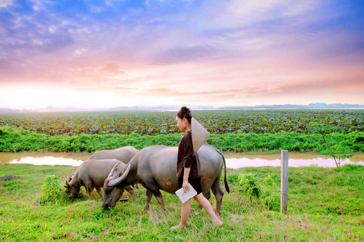 tradition in rural guam