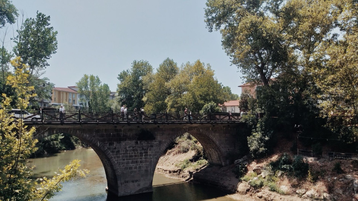 Pont en pierre historique dans un paysage tropical