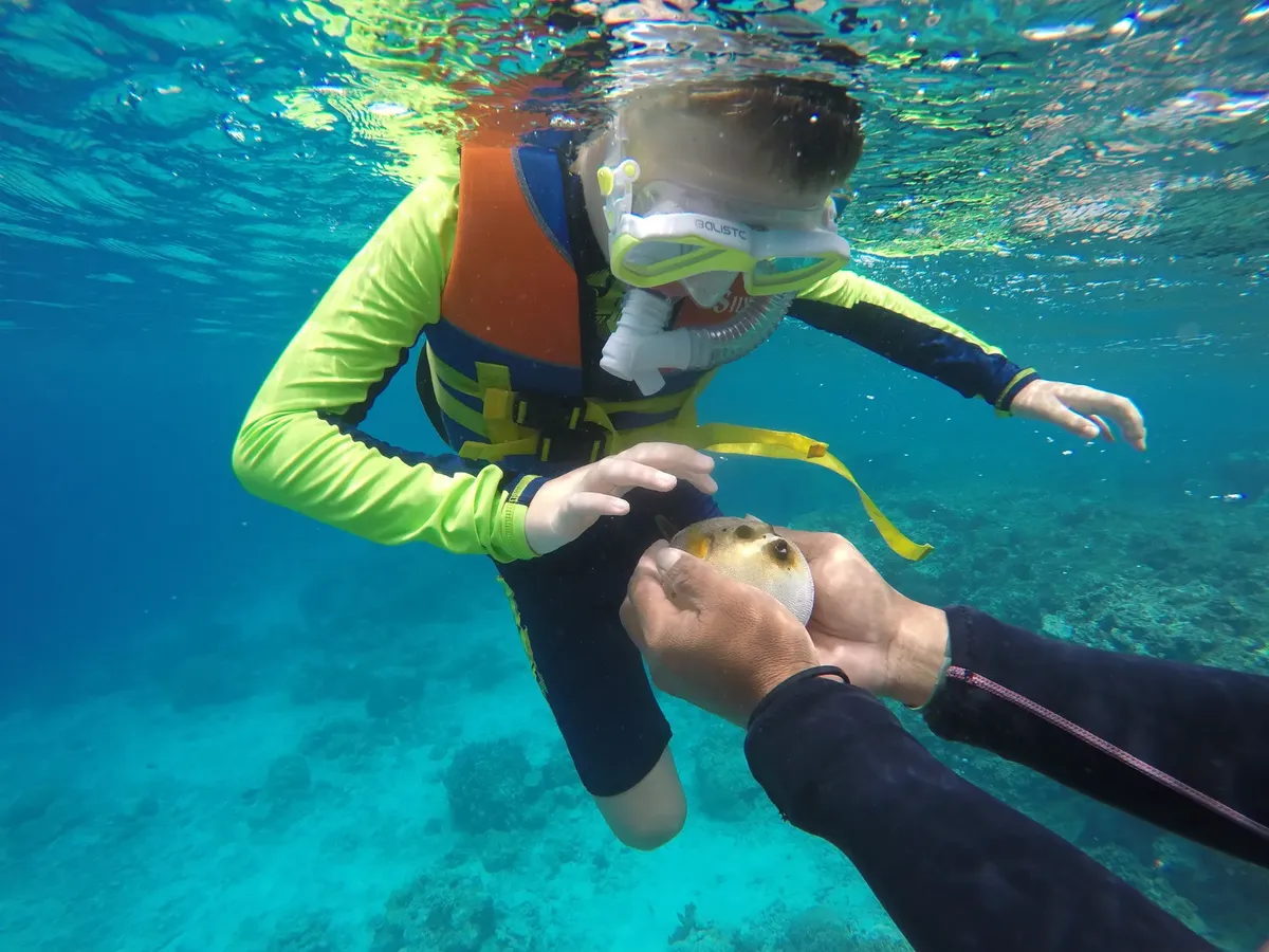 A child snorkeling in clear blue waters encounters sea life up close, wearing colorful gear.
