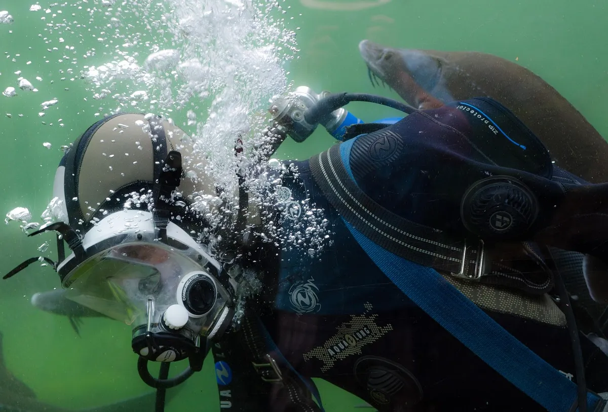 diver, diving, scuba, nature, ocean, activity, sport, adventure, snorkeling, tropical, swim, equipment, mask, people, swimming, fish, aquatic